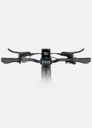 ENGWE L20 3.0 Pro Velo Electrique