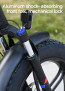 ENGWE Engine X Velo Electrique