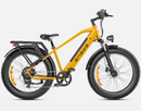 ENGWE E26 Velo Electrique