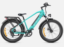 ENGWE E26 Velo Electrique