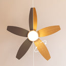 Cecotec Ventilateur de plafond EnergySilence Aero 495