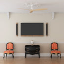 Cecotec Ventilateur de plafond EnergySilence Aero 590