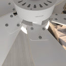 Cecotec Ventilateur de plafond EnergySilence 3600 Vision SunLight