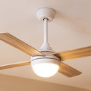 Cecotec Ventilateur de plafond EnergySilence Aero 4250 DC Fresh