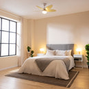 Cecotec Ventilateur de plafond EnergySilence Aero 4260 SunLight