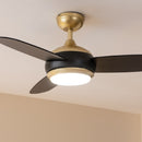 Cecotec EnergySilence Aero 4265 GoldBlack