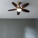 Cecotec EnergySilence Aero 4200 GoldDarkWood