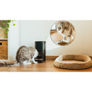 Cecotec Distributeur de croquettes Pumba 6000 Purrfect Meal Smart Vision