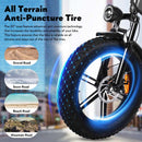 HiQiS E20 – Vélo électrique fat bike 20 pouces