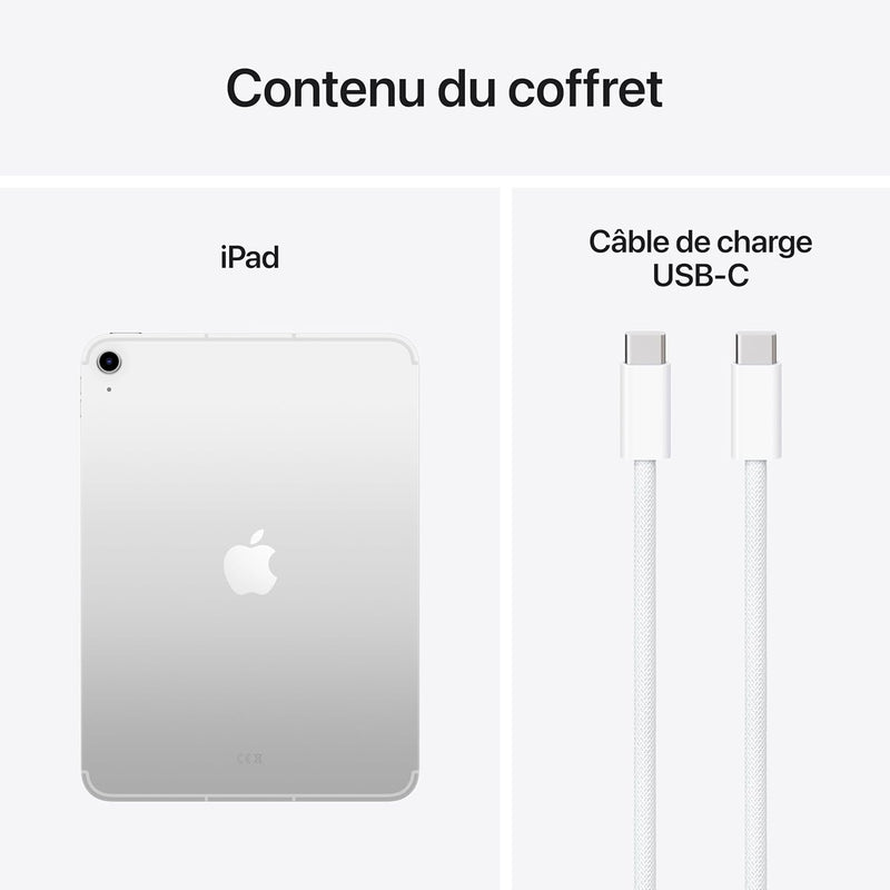 Apple iPad A16 Wi-Fi + Cellular