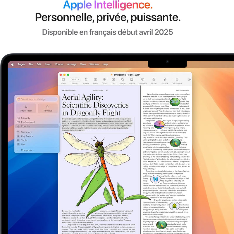 Apple MacBook Air - M4 13.6""