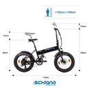 Schiano E-Boss Vélo Electrique