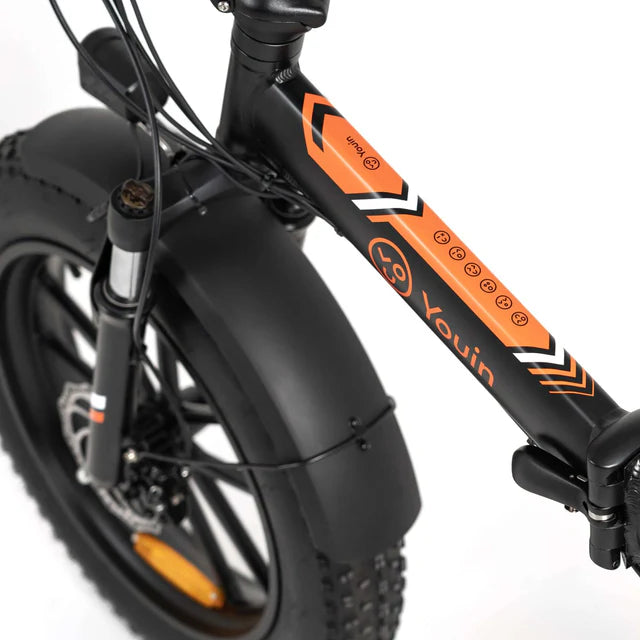 YOUIN Texas Vélo Electrique Pliant