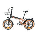 YOUIN Dallas Vélo Electrique Pliant