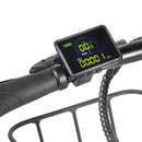 YOUIN Dallas Vélo Electrique Pliant