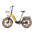 YOUIN Luxor Pro Vélo Electrique