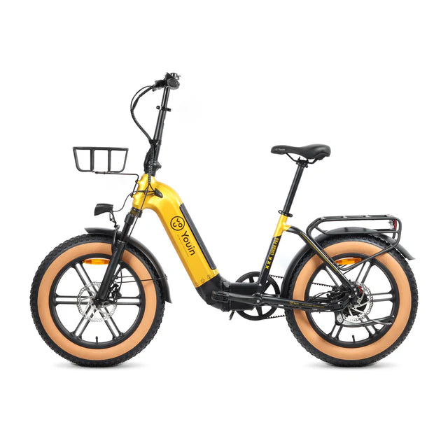 YOUIN Luxor Pro Vélo Electrique