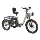YOUIN Dover Tricycle Cargo Electrique