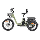 YOUIN Dover Tricycle Cargo Electrique
