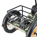 YOUIN Dover Tricycle Cargo Electrique
