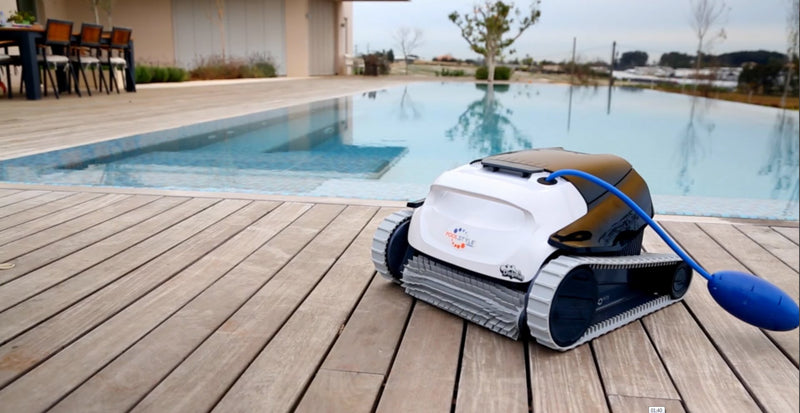Robot piscine Dolphin Poolstyle AG