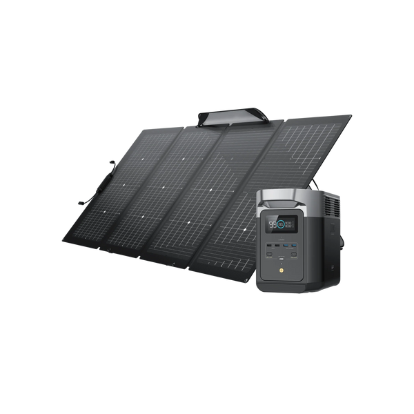 Pack spécial EcoFlow DELTA 2 + Panneau solaire bifacial 220 W