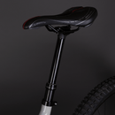 ECONO Pantera C9 160 Vélo Electrique