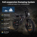 HiQiS S8 Pro – Vélo électrique fat bike 20 pouces double moteur