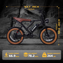 HiQiS S8 Pro – Vélo électrique fat bike 20 pouces double moteur