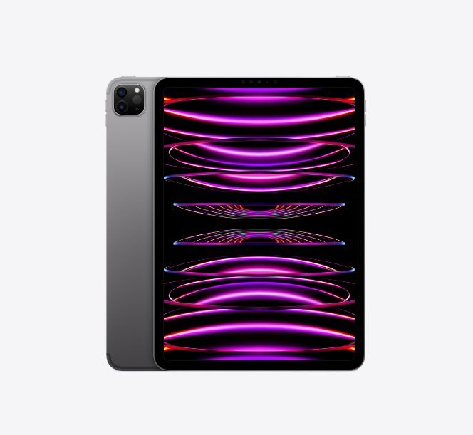Apple iPad Pro 11" Wi-Fi 2To Gris sidéral