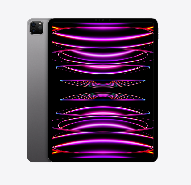 Apple iPad Pro 12.9" Wi-Fi + Cellular 256Go Gris sidéral