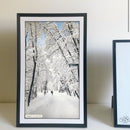 Agfa Photo Cadre Photo Numérique Connecté - Realiview APF1560WIFI - 15