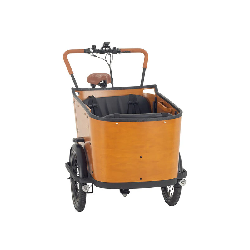 AITOUR Family C Vélo Electrique Cargo (Moyeu Enviolo Heavy Duty)