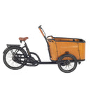 AITOUR Family C Vélo Electrique Cargo (Moyeu Enviolo Heavy Duty)