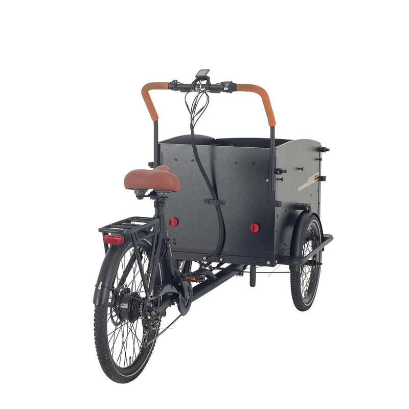 AITOUR Starter Vélo Electrique Cargo