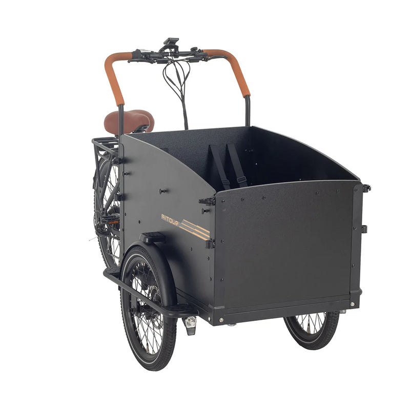 AITOUR Starter Vélo Electrique Cargo