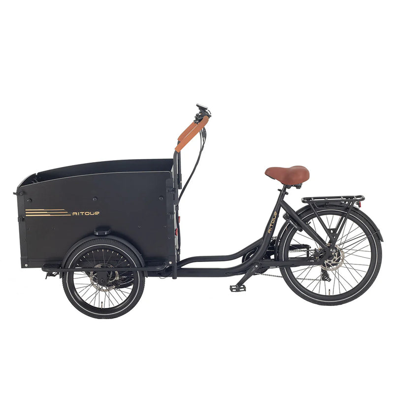 AITOUR Starter Vélo Electrique Cargo