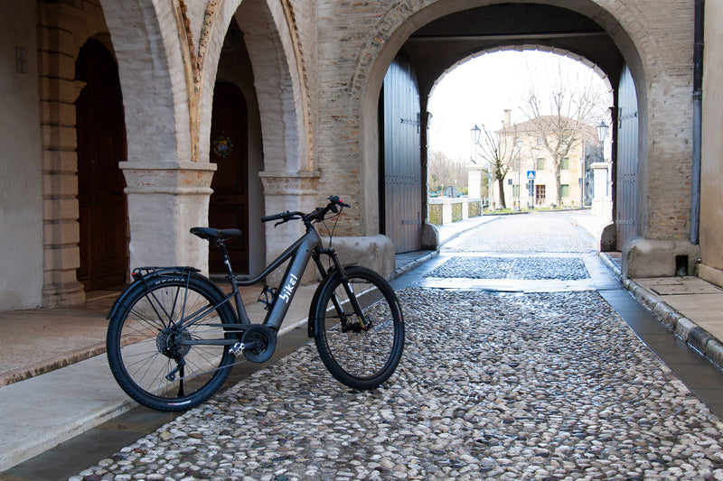 Bikel BMAX Vélo Electrique