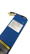 DUALTRON BATTERIE Trottinette électrique DOLPHIN