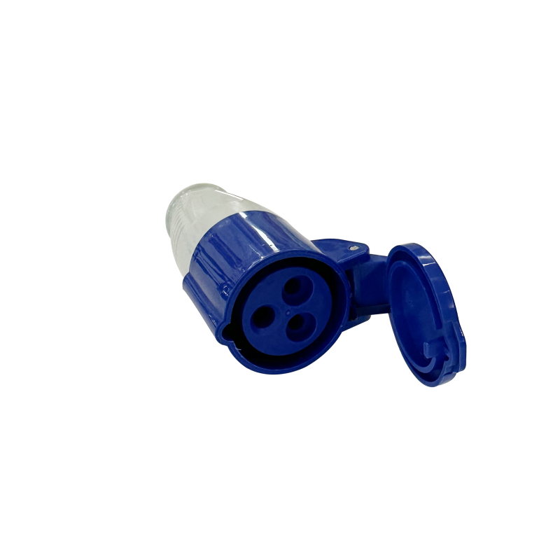 ANTARION Fiche femelle P17  (C/50)