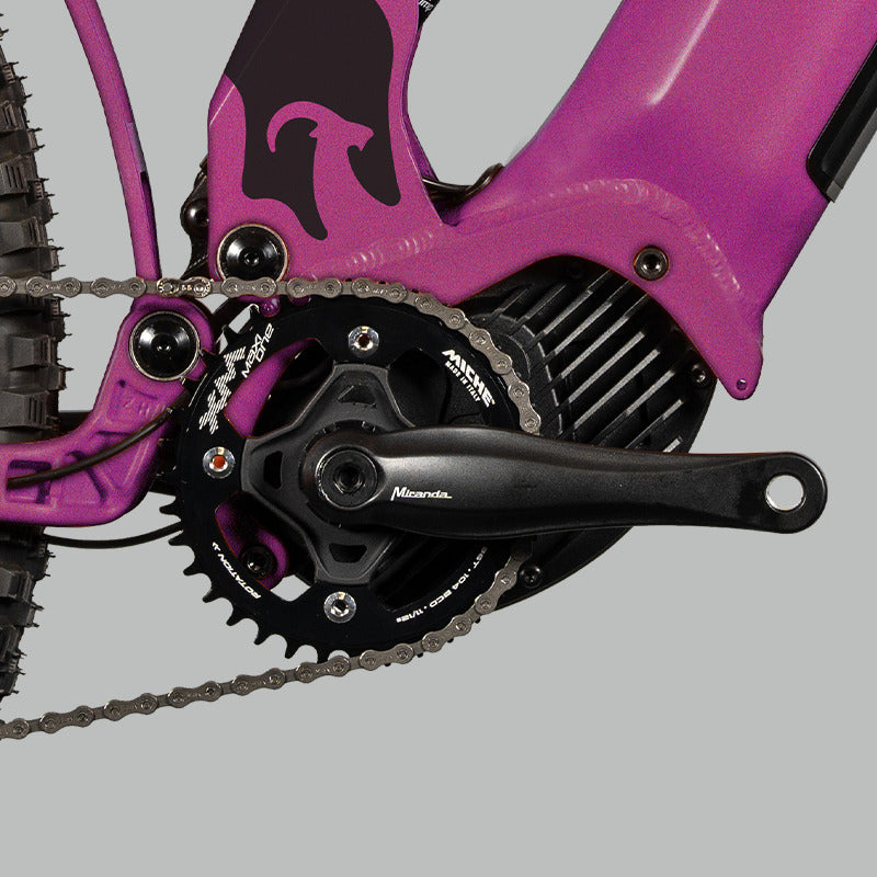 Bikel IBEX Vélo Electrique