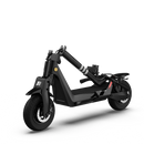 OKAI Trottinette Electrique ES800 Panther