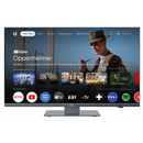 Antarion Smart TV 19'' première monte Google
