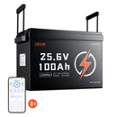 VEVOR Batterie Lithium LiFePO4 24 V 100 Ah 4000+ Cycles BMS 100 A Bluetooth pour Camping-cars, Moteurs Pêche Traîne, Systèmes Solaires, Connexion 8P2S, 2560 Wh, Protection contre Basses Températures