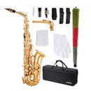 VEVOR Saxophone Alto Mi Bémol Kit Saxophone Débutants en Laiton Résistant avec Étui de Transport, Bec, Sangles, Chiffon de Nettoyage, Gants, Sangle de Cou, 23 Touches, pour Débutants, Étudiants, Doré - image 2