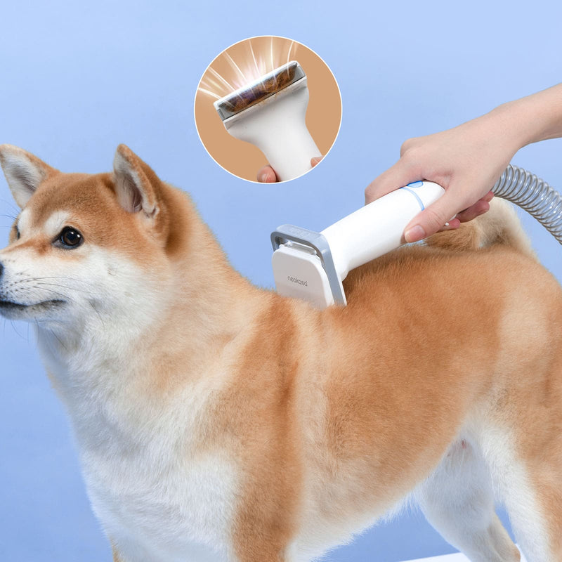 Kit de toilettage pour chien et aspirateur de poils d'animaux à