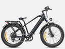 ENGWE E26 Velo Electrique